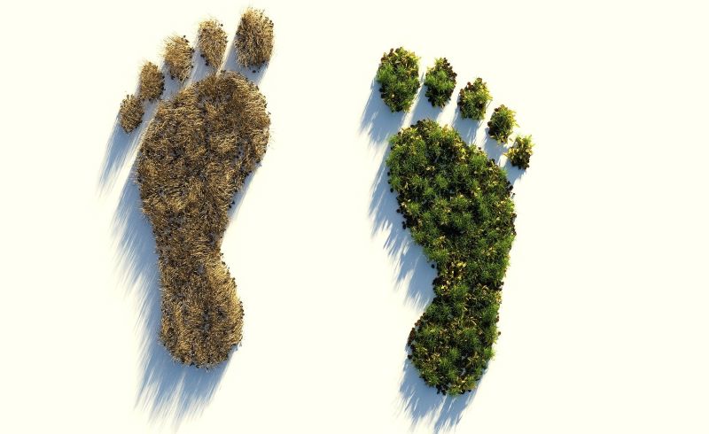 Fußabdruck eines rechten und linken Fußes, die mit Gras und Bäumen gefüllt sind. 